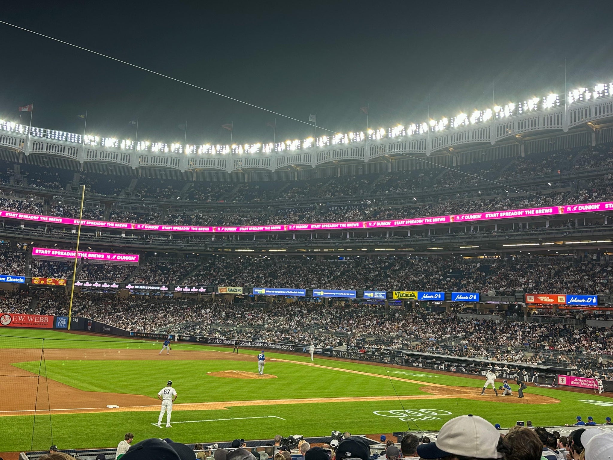 Real Fan View taken from Field Level 126 at Yankee Stadium by Elizabeth L
