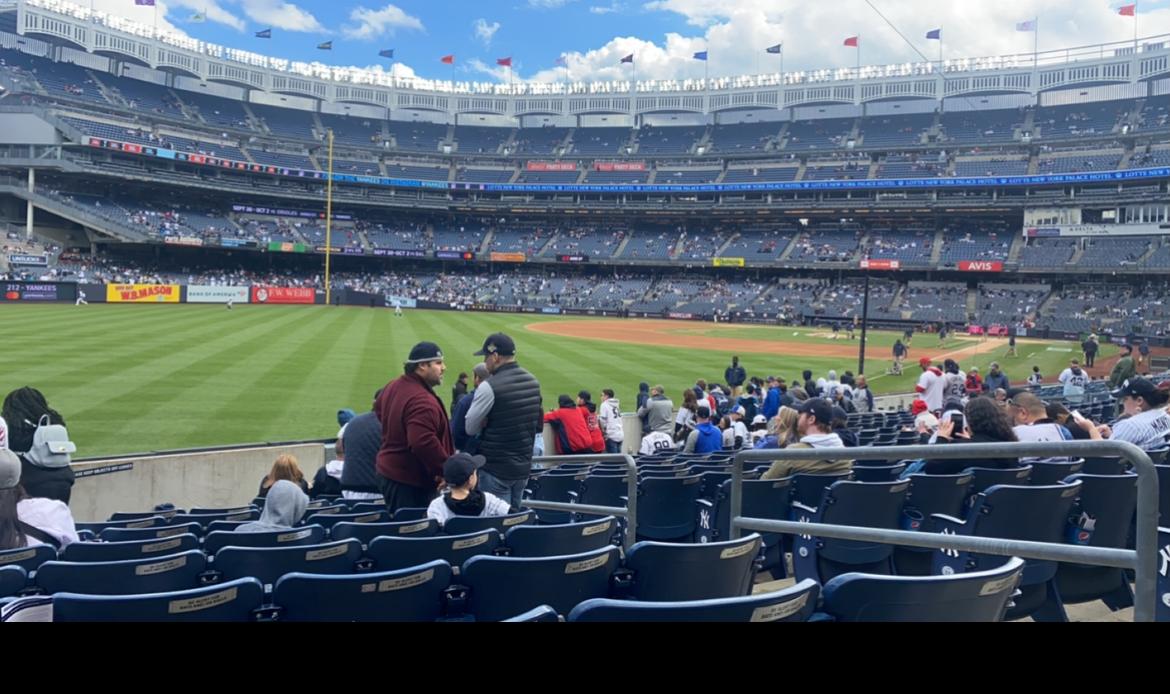 Real Fan View taken from Field Level 131 at Yankee Stadium by Danielle E