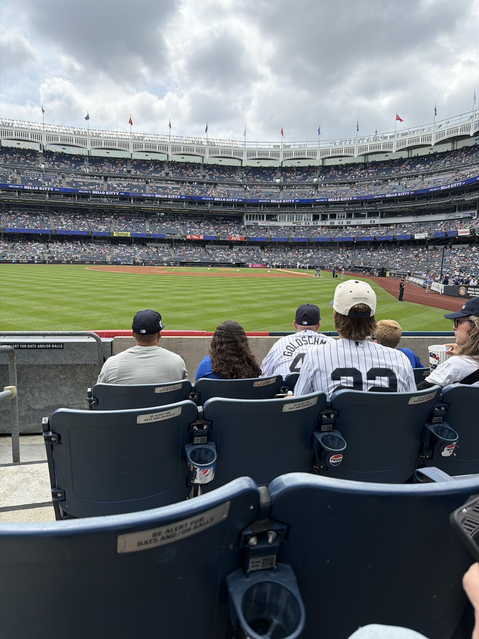 Real Fan View taken from Field Level 134 at Yankee Stadium by Isabella V
