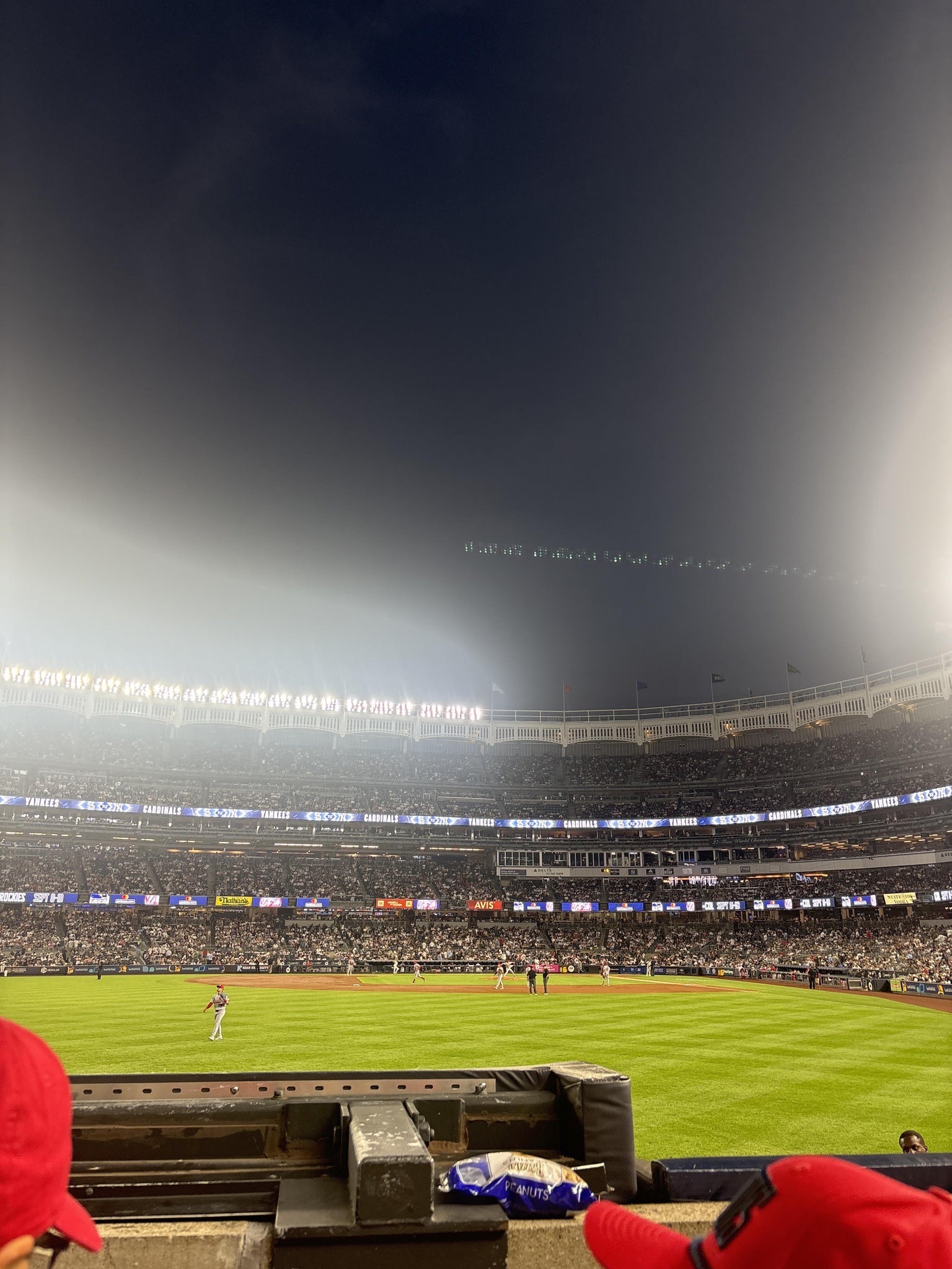 Real Fan View taken from Field Level 135 at Yankee Stadium by Catherine H