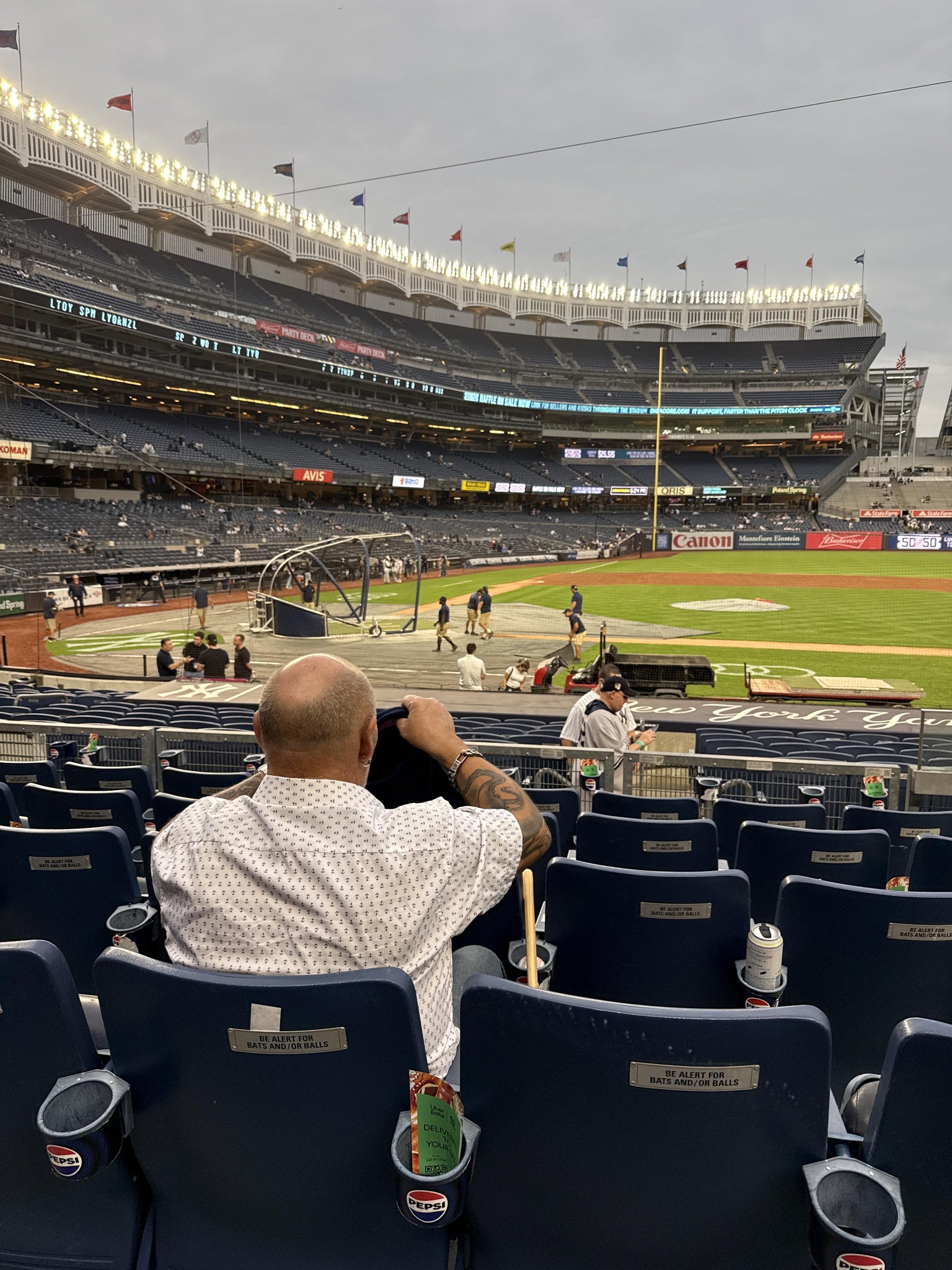Real Fan View taken from Field MVP 117 A at Yankee Stadium by Yolanda E