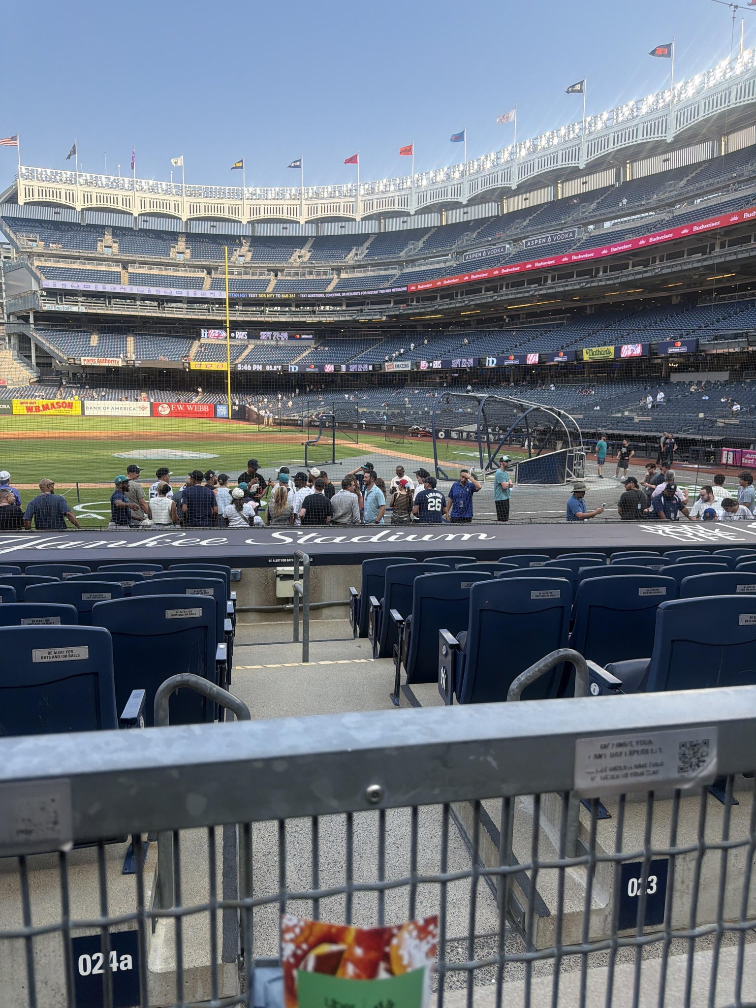 Real Fan View taken from Field MVP 123 at Yankee Stadium by Michael D