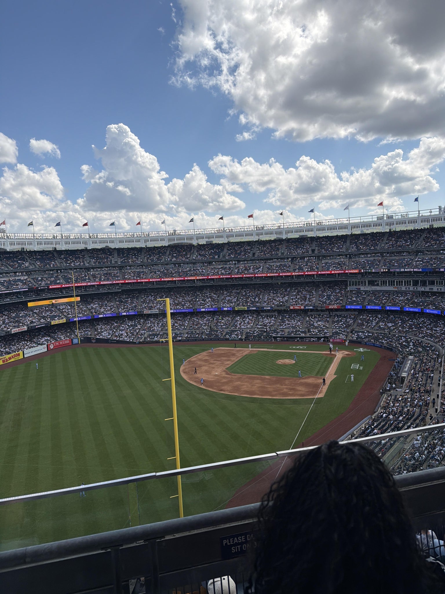 Real Fan View taken from Grandstand Level 432 B at Yankee Stadium by Evelyn C