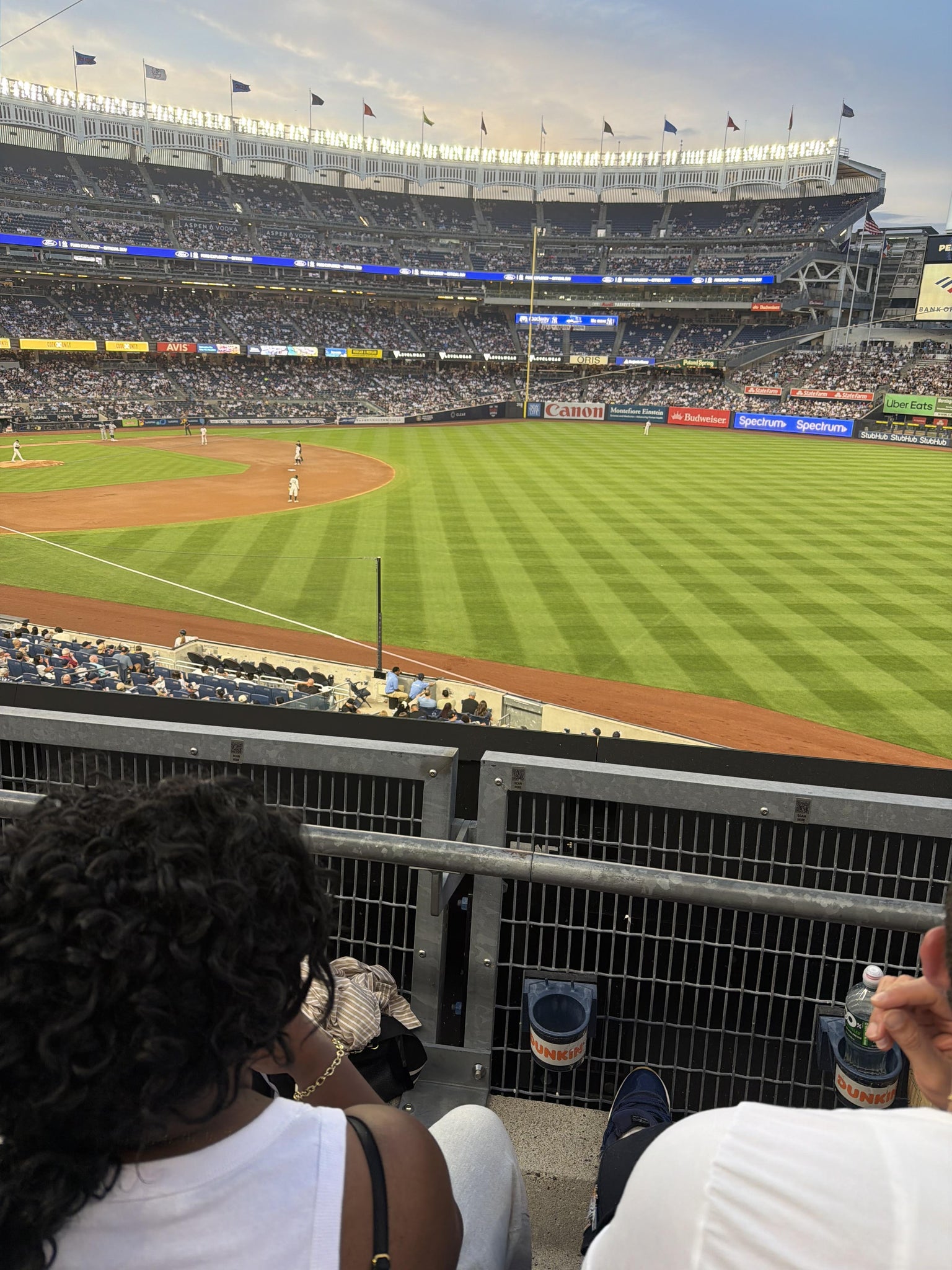 Real Fan View taken from Main Level 210 at Yankee Stadium by Christopher K