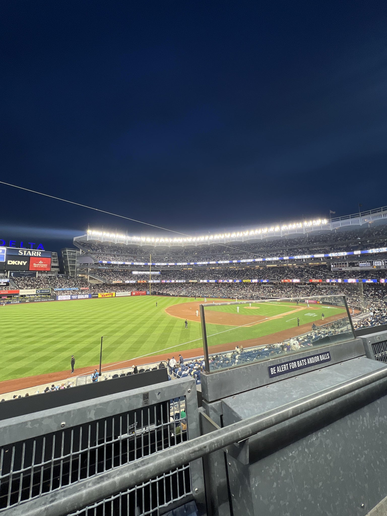 Real Fan View taken from Main Level 229 at Yankee Stadium by Julie R