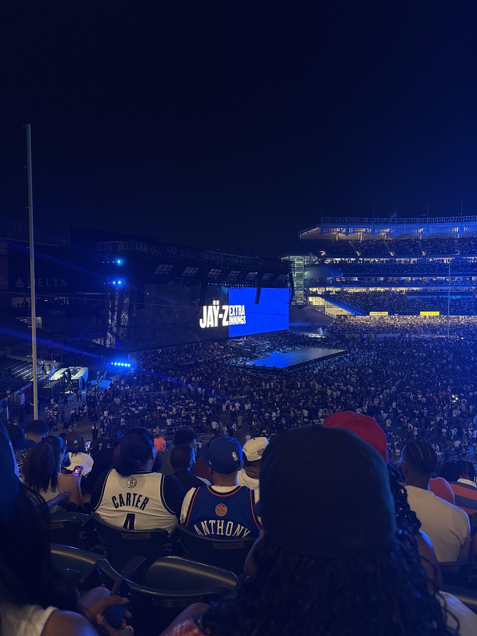 Real Fan View taken from Main Level 229 at Yankee Stadium by Chryshel M